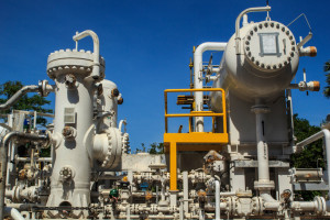 Plant Petroleum